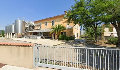 Maison Sinnae - Cave de Codolet, Vignoble à Codolet