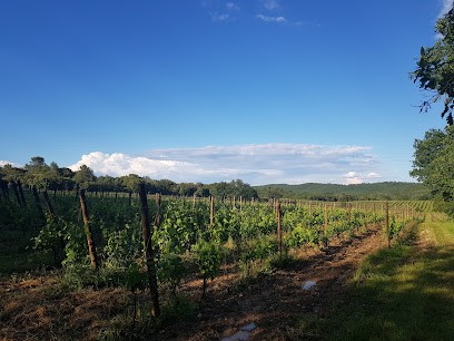 MAS PAGÈS, Vignoble à Vacquières