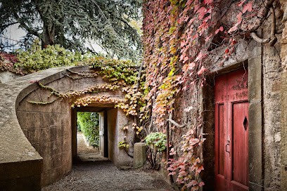 JEAN-BAPTISTE SENAT, Vignoble à Trausse