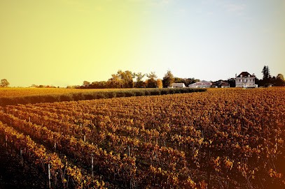 Vignobles Massé, Vignoble à Pompignac