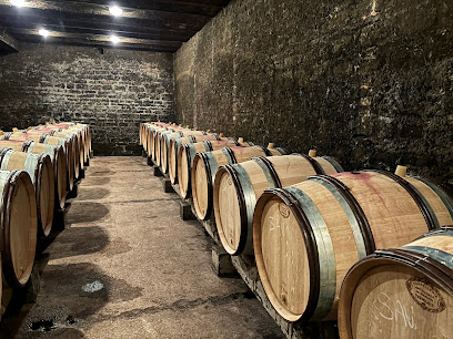 Christophe Buisson Vignoble à Saint-Romain