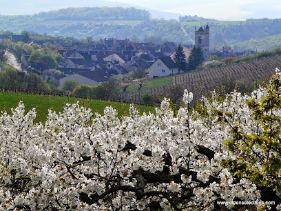 Burgundywine.com, Vignoble à Saint-Sernin-du-Plain