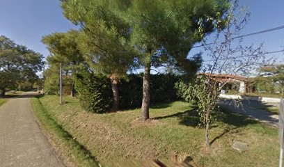 Chateau Fayet, Vignoble à Fabas