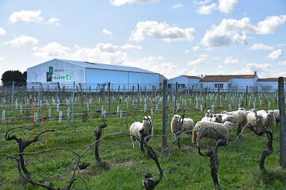 Vignoble PRADÈRE, Vignoble à Saint-Pierre-d'Oléron