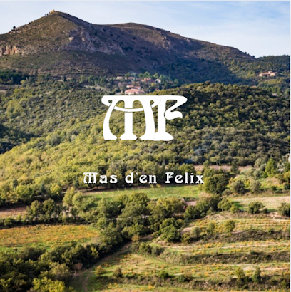 Mas D'en Felix Vignoble à Camélas