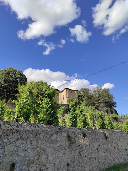 Château-Grillet AOC, Vignoble à Vérin