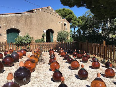 Sala Francis, Vignoble à Vic-la-Gardiole