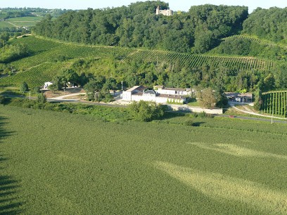 Château du Cros, Vignoble à Loupiac