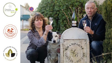 Champagne Lefèvre Beuzart, Vignoble à Rilly-la-Montagne