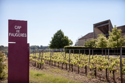 Château Cap De Faugères Vignoble à Sainte-Colombe