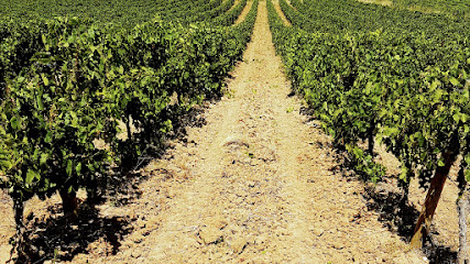 Exagri Vignoble à Villeneuve-Minervois