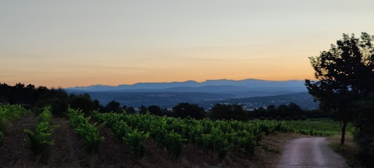 Domaine Du Deffends, Vignoble à Saint-Maximin-la-Sainte-Baume