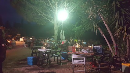 Domaine Carle Courty, Vignoble à Millas