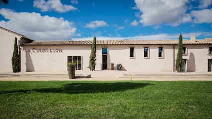 Domaine la Cendrillon, Vignoble à Ornaisons