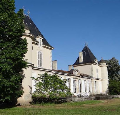 Château Peychaud - Grand Vin de Bordeaux, Vignoble à Ambarès-et-Lagrave