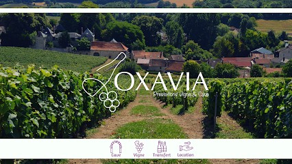 Oxavia Prestations Vigne & Cave, Vignoble à Taissy