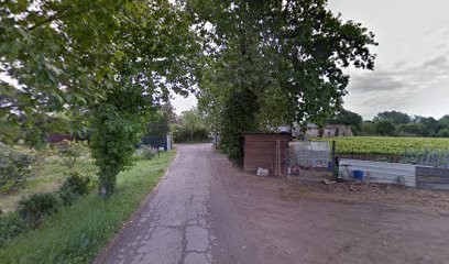 Ste Fermiere Du Peras, Vignoble à Abeilhan