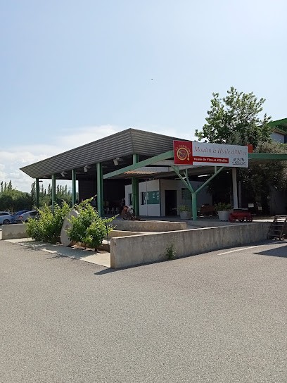 Cave Coop Vinification Les, Vignoble à Millas