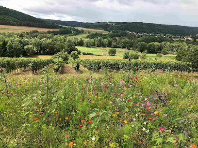 Domaine Moë Vignoble à Villars-Fontaine
