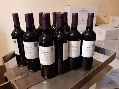 Château Lamothe Saint Germain, Vignoble à Saint-Germain-du-Puch