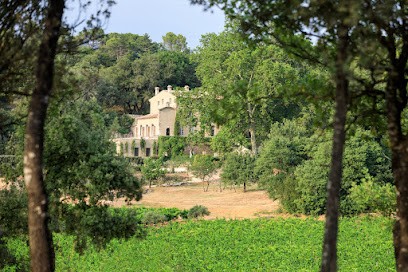Château Margüi, Vignoble à Châteauvert