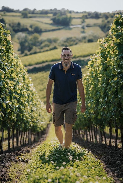 Domaine Simon Gaudet, Vignoble à Saint-Sernin-du-Plain