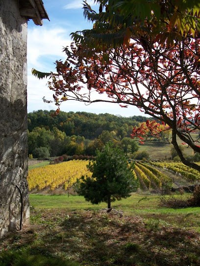 Domaine de Grimardy, Vignoble à Montazeau