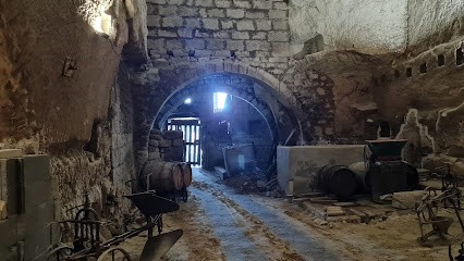 Domaine Des Amandiers, Vignoble à Turquant