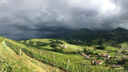 Domaine Ameztia, Vignoble à Saint-Étienne-de-Baïgorry