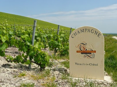 Champagne TREPO LERIGUIER, Vignoble à Vanault-le-Châtel