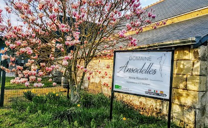 Domaine ANSODELLES - Anne Rouxelin, Vignoble à Benais