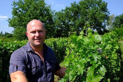 Château Haut-Tellas, Vignoble à Saint-Loubès