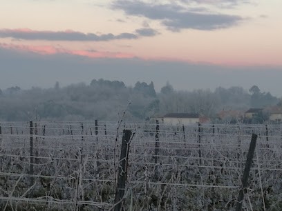 S C D EXPL AGRI CHATEAU PLASSAN, Vignoble à Tabanac