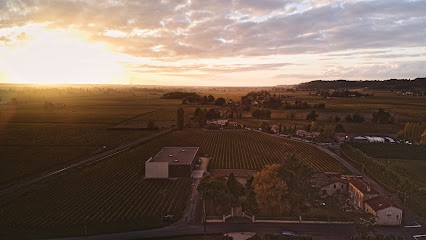 SCEA Des Vignobles Meynard, Vignoble à Saint-Magne-de-Castillon