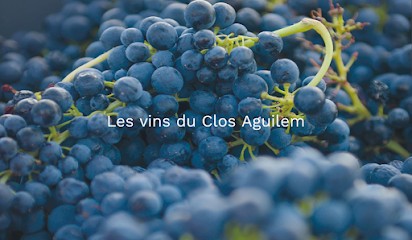 Clos Aguilem, Vignoble à Saint-André-de-Sangonis