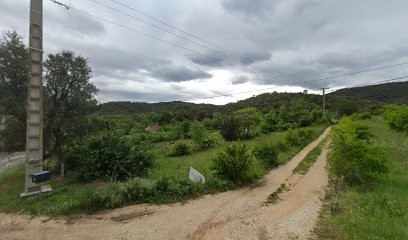 Domaine Casanove, Vignoble à Maureillas-las-Illas