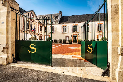 Champagne Salon Vignoble au Mesnil-sur-Oger
