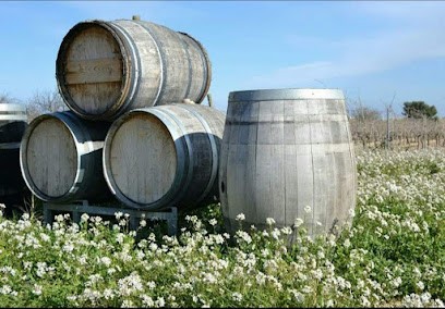 Mas Castello, Vignoble à Espira-de-l'Agly