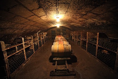 Ploquin & fils - Domaine Le Pont du Gué - Vin de BOURGUEIL, Vignoble à Bourgueil