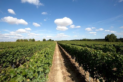 BATLLE-SIMON PHILIPPE CHÂTEAU LA CROIX DE BAYLE 33870 VAYRES, Vignoble à Vayres