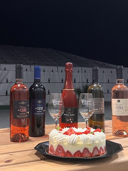 Château Le Clou : vins de Bergerac & Monbazillac à Pomport, Vignoble à Pomport