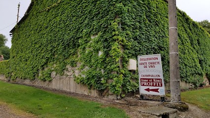 Anne Et Rémi Proffit, Vignoble à Senan