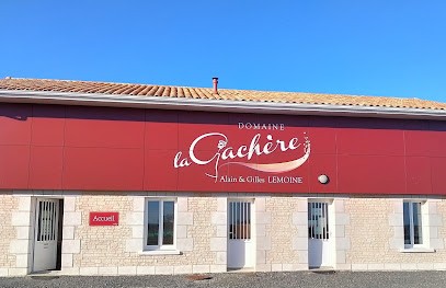 Vins D'Anjou. Domaine De La Gachère.Alain Et Gilles Lemoine, Vignerons., Vignoble à Val en Vignes