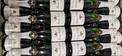 Champagne Maurice Caillot, Vignoble à Passy-Grigny