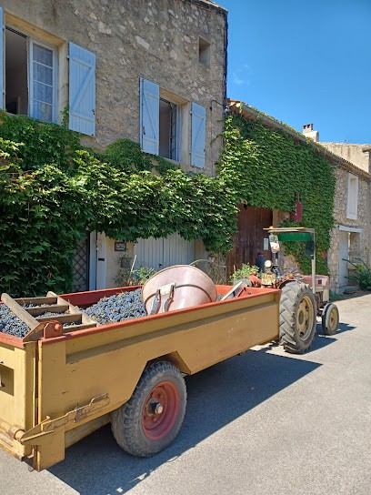 Domaine Henry CARBONNEL, Vignoble à Lagrasse