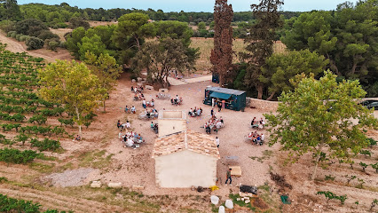Mas De Jacquet - Point De Vente Vignoble à Vic-la-Gardiole