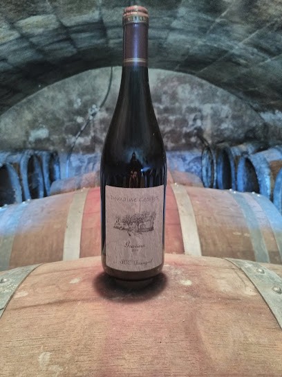 Domaine Georget, Vignoble à Bourgueil