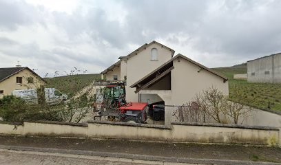 CHAMPAGNE ROY PHILIPPON, Vignoble à Trépail