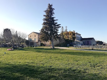 Domaine Maître Curnier, Vignoble à Vacqueyras