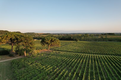 Château Poupille, Vignoble à Sainte-Colombe